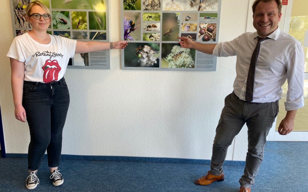 Wanderausstellung „Insekten – gefährdete Vielfalt – was nun?“ jetzt im Rommerskirchener Rathaus