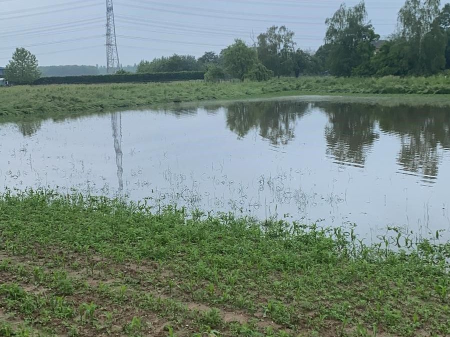 Nach Unwetter und Überflutungen in Rommerskirchen: Gemeinde berät mit dem Erftverband über Konsequenzen