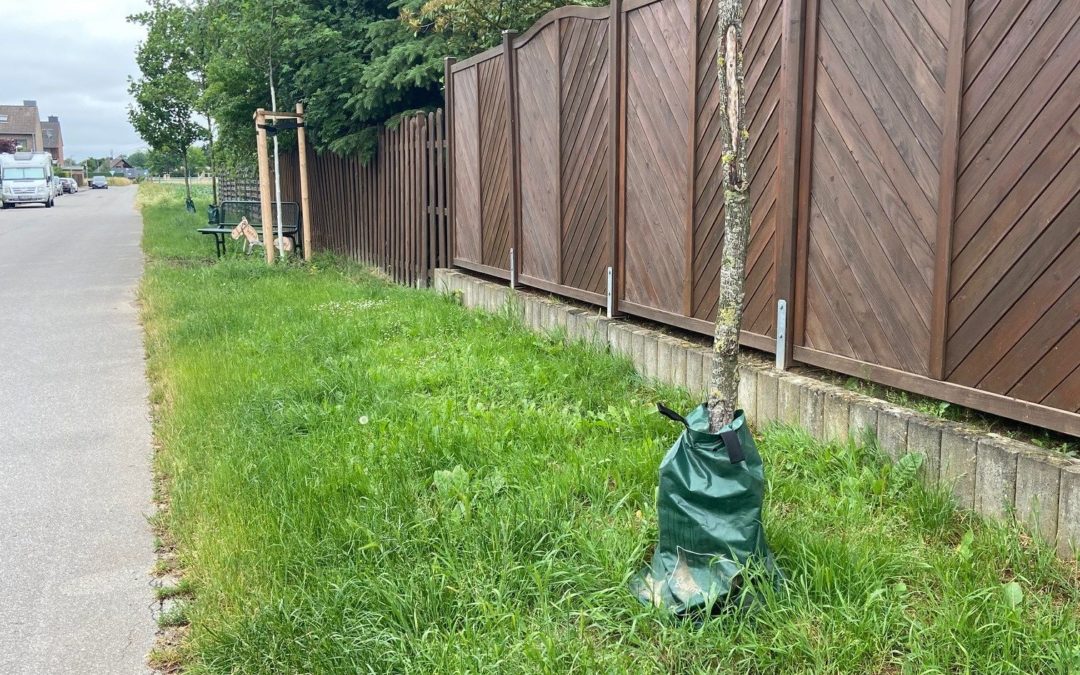 Gemeinde bietet wieder Wassersäcke für junge Bäume an