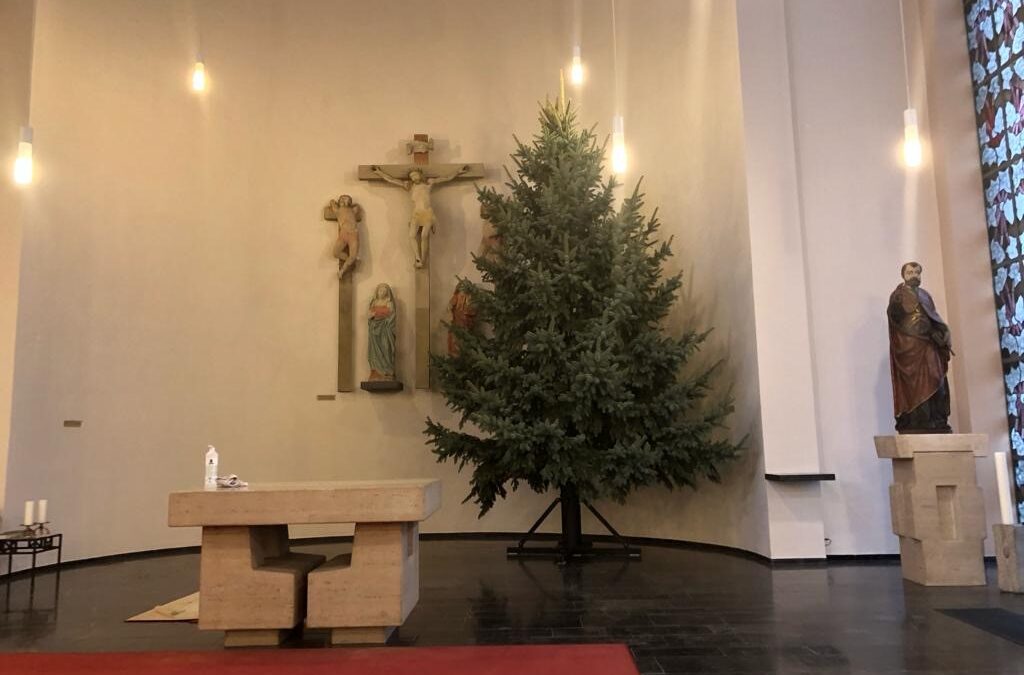 St. Sebastianus-Bruderschaft stellte Weihnachtsbaum in St. Peter auf