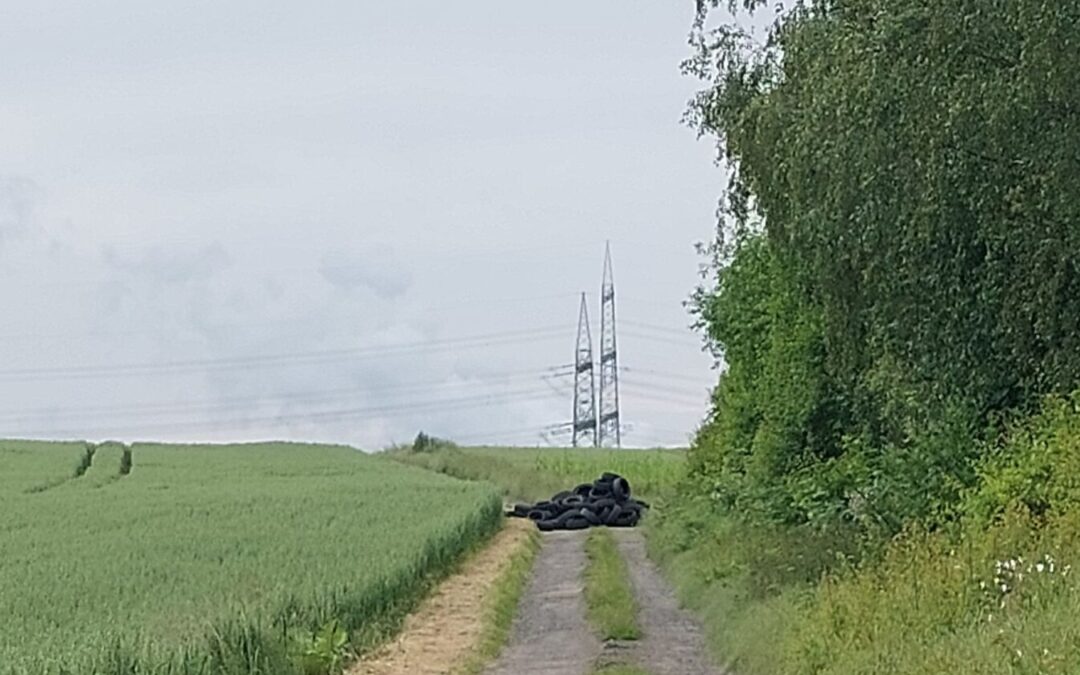 Erneut zahlreiche Altreifen illegal an Wirtschaftsweg entsorgt