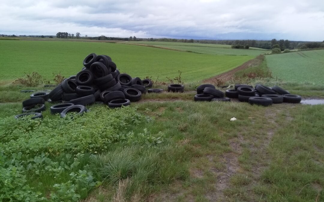 Erneut Altreifen im Feld gefunden