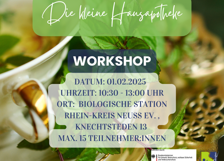 Die Kraft der Natur in der Kleinen Hausapotheke entdecken – Workshop in der Biologischen Station Knechtsteden